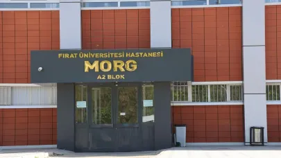 Eşeğin sürüklediği çocuk hayatını kaybetti