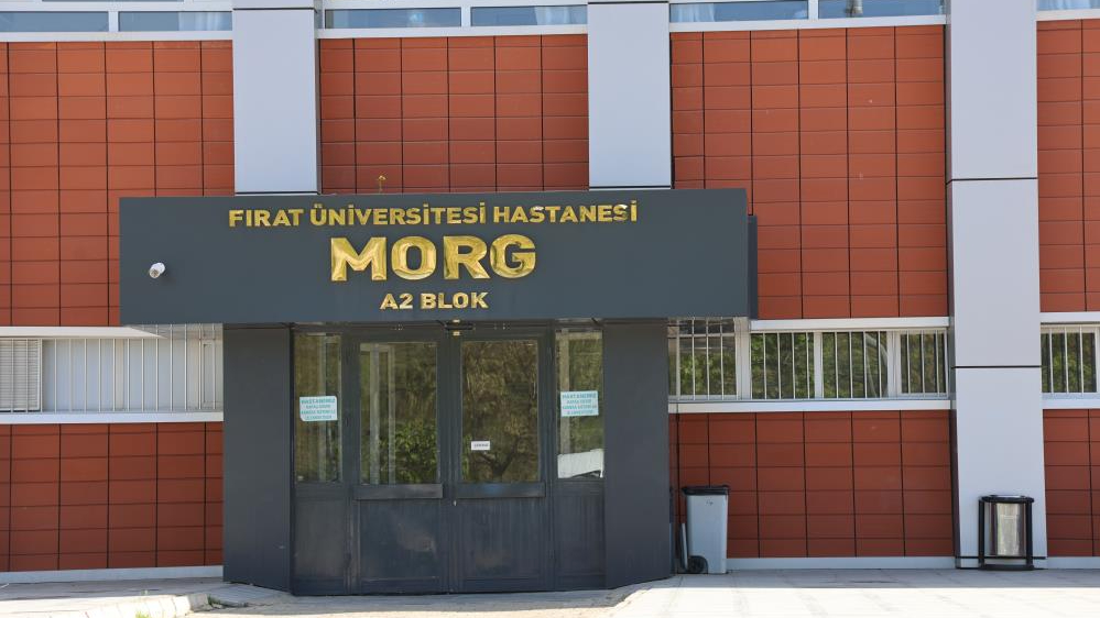Eşeğin sürüklediği çocuk hayatını kaybetti