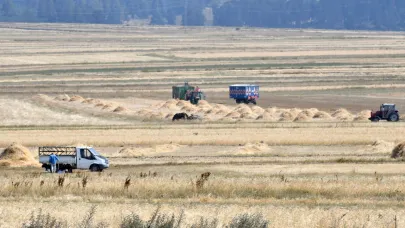 Sarıkamış'ta son buğdaylar hasat ediliyor