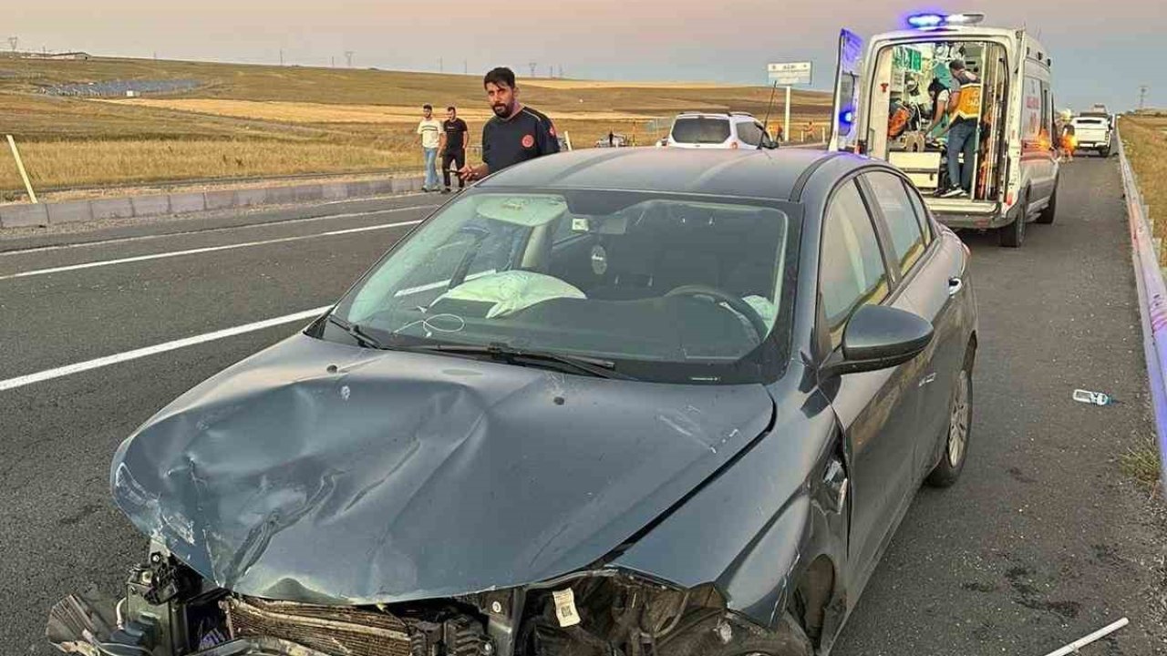 Ağrı’da dönüş yasağını ihlal eden manevra kazaya yol açtı: 1 yaralı