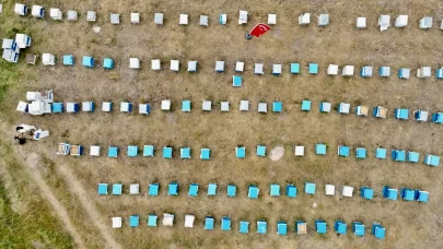 Ağrı’da kadınlar bal üretimine yöneliyor