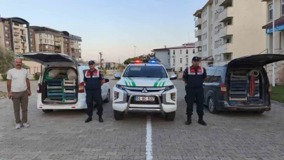 Doğubayazıt’ta kaçak kurbağa avcılığına jandarma operasyonu