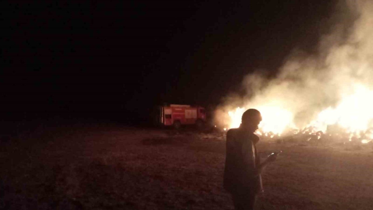 Erzurum’da ot yangını