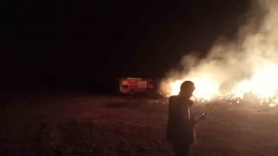 Erzurum’oa ot yangını