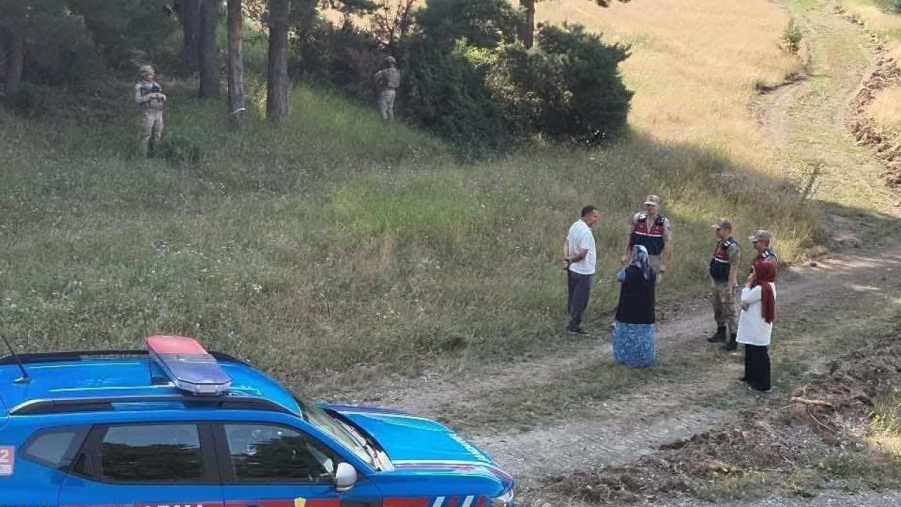 Ormanlık ve mesire alanları denetlendi