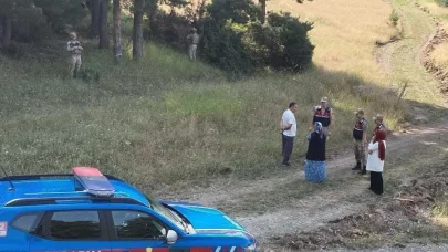 ormanlık ve mesire alanları denetlendi