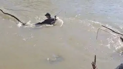 Nehre kapılan yolcuyu arama çalışmaları sürüyor