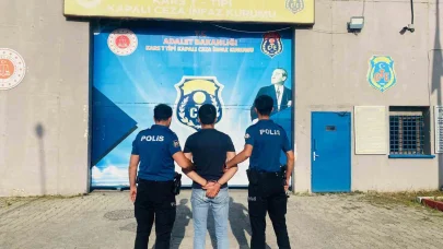 Kars Kalesi’nin otlarını yakan kişi tutuklandı