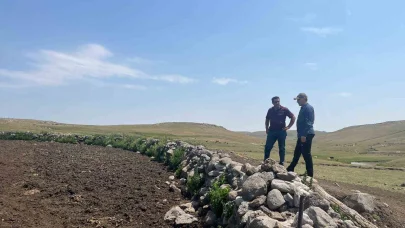 Kars’ta şap hastalığıyla mücadele sürüyor