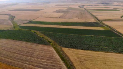 Kars’ta tarım arazileri halı deseni gibi rengarenk