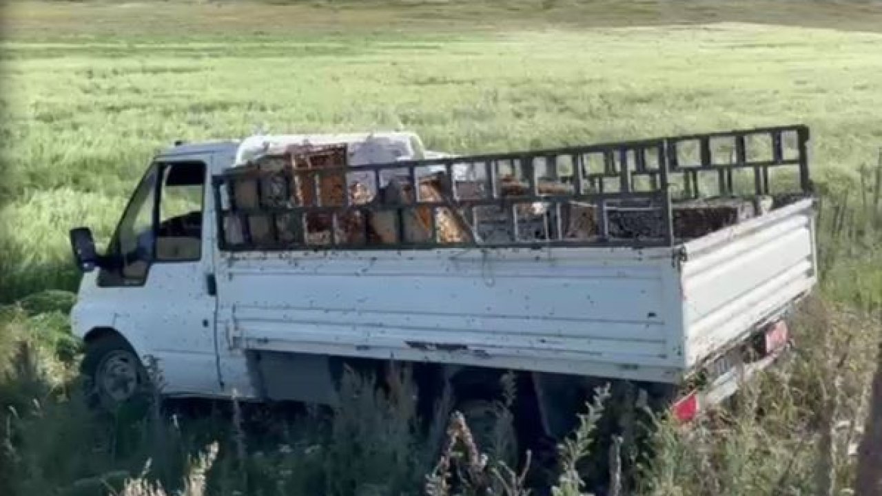 Ardahan'da kovan yüklü kamyonet devrildi, arılar etrafa yayıldı