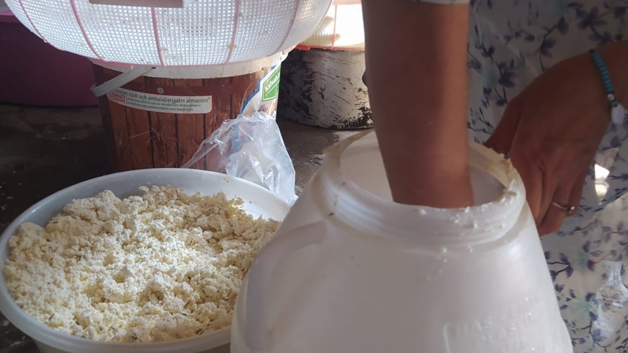 Küp peyniri geleneksel yöntemlerle olgunlaştırılarak sofralara ulaştırılıyor