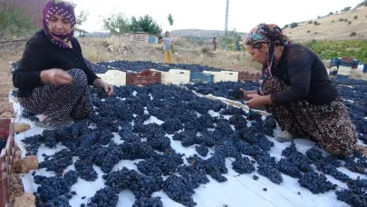 Kuru üzüm kilosu 500 TL'den satışa sunuluyor