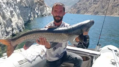 Amatör balıkçı dev şabut yakaladı