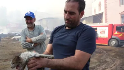 Alevlerin içinde kalan kediyi kurtardı