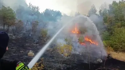 Yangın uzun uğraşlarla söndürüldü