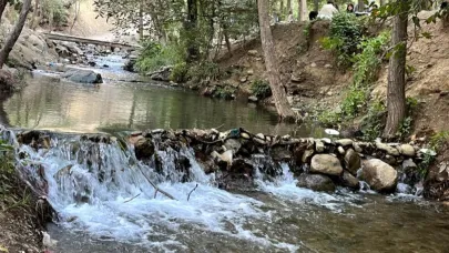 Doğaseverlerin uğrak noktası Teke Deresi