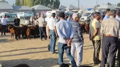 Patnos hayvan pazarı açıldı
