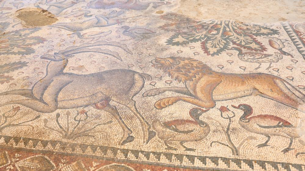 Roma dönemine ait taban mozaiğinde çalışmalar sürüyor
