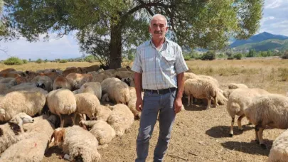 Çoban ücretleri üreticiyi zor durumda bırakıyor