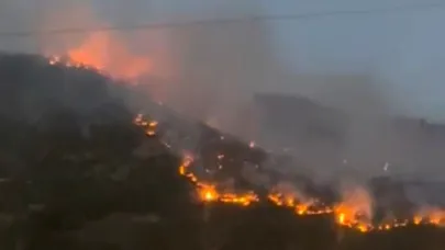 Ormanlık alanda korkutan yangın