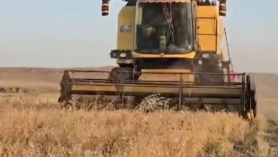 Nohut hasadı başladı
