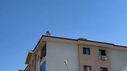 İşçinin tehlikeli çalışması kameraya yansıdı
