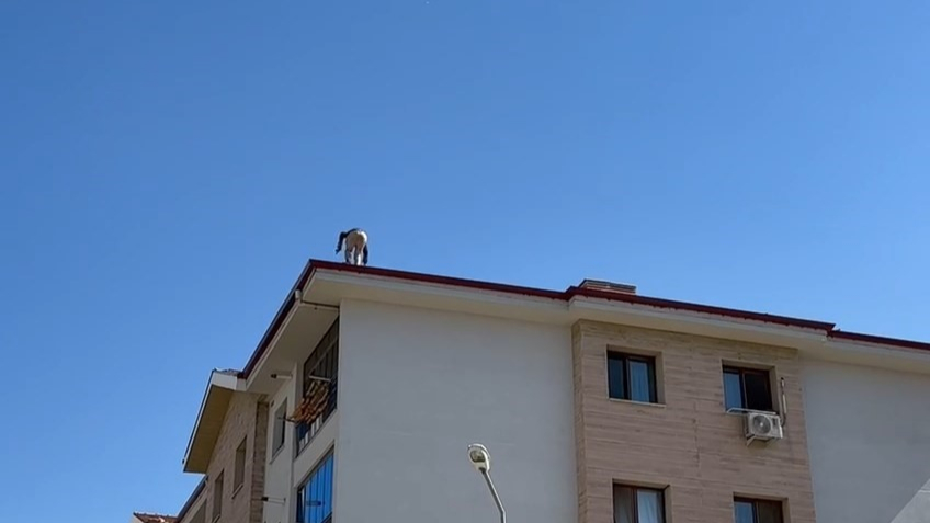 İşçinin tehlikeli çalışması kameraya yansıdı