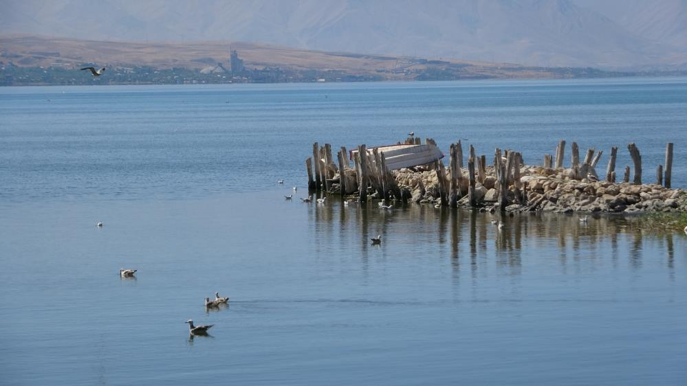 "Van Gölü alan kaybı yaşamaya devam edecek"