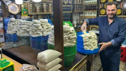 Otlu peynir tezgâhları doldurdu