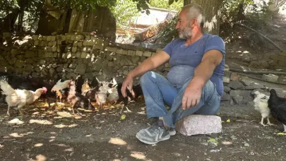 Mahalle halkı tilki nöbetinde