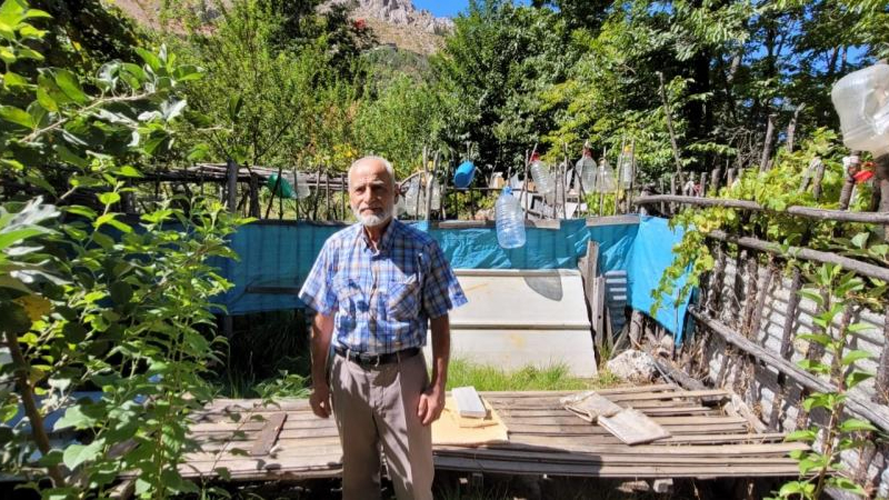 Ayıları yetkililere şikayet etti