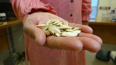 Akciğerinden kabak çekirdeği çıktı