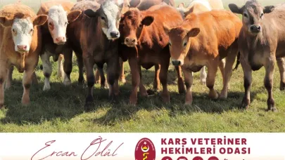 Ödül: Kış kapıda, tedbirler alın!