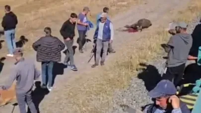 Kars'ta yük treni büyükbaş hayvan sürüsüne çarptı: 5 hayvan telef oldu