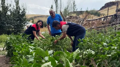 Yenilikçi proje sebzelerini verdi