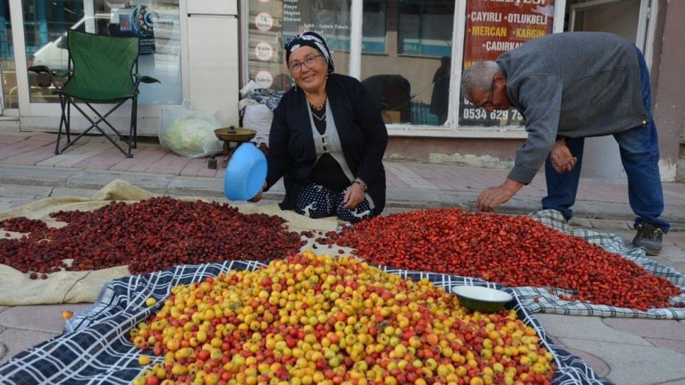 Dağlarda yetişen doğal meyveler gelir kapısı oluyor