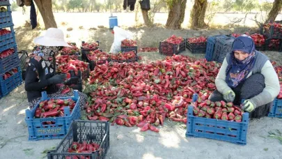 "Kadın eliyle büyüyen üretim"