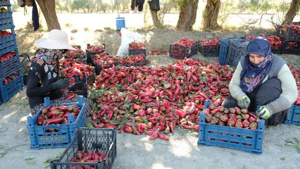 "Kadın eliyle büyüyen üretim"