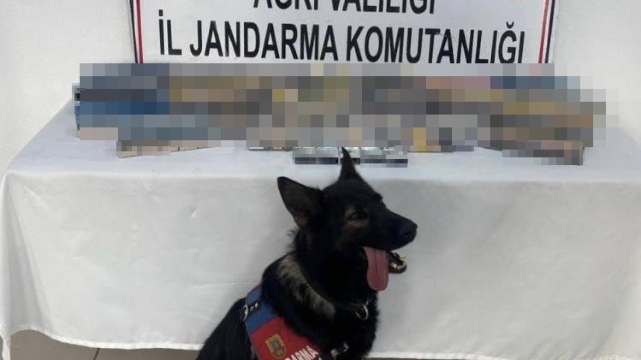Ağrı’da 1227 paket gümrük kaçağı sigara ele geçirildi