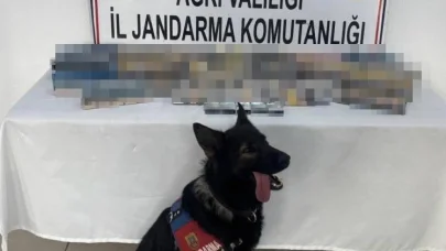 Ağrı’da bin 227 paket gümrük kaçağı sigara ele geçirildi