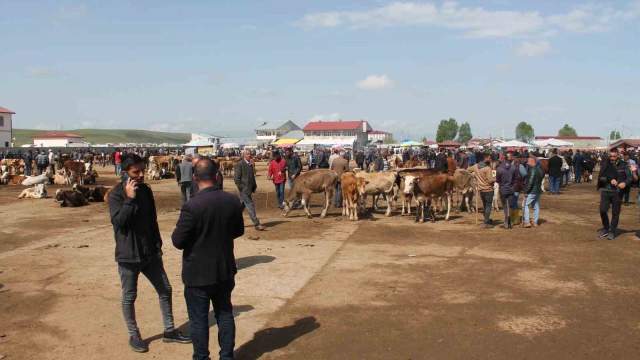 Ağrı’da Canlı Hayvan Borsası 10 Eylül’de açılacak