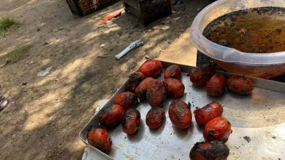 Ağrı’da kış hazırlıkları başladı