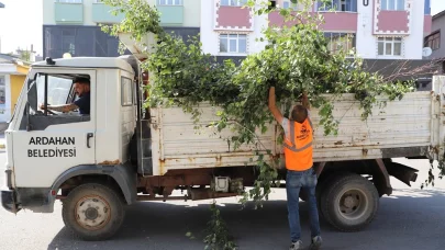 Ardahan Belediyesi’nden ağaç budama faaliyeti