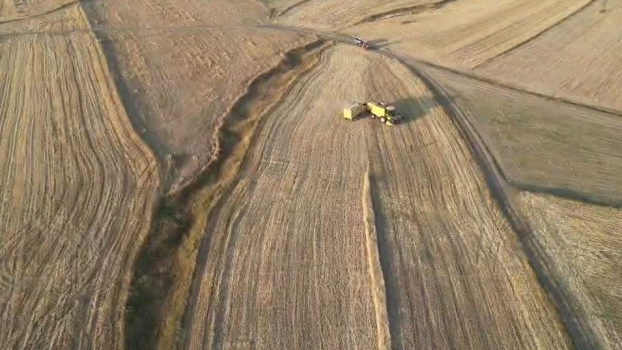 Çiftçilerin hububat hasadı sürüyor