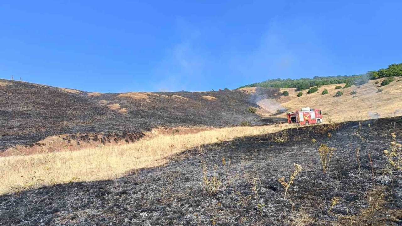 Güneyçam köyünde 100 dönüm alan kül oldu