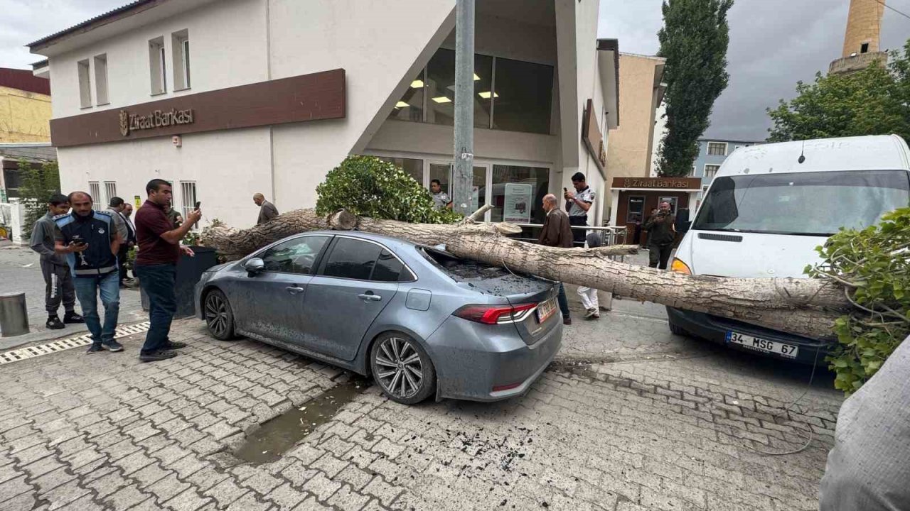 Diyadin’de ağaç devrildi araç hasar gördü