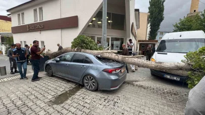 Diyadin’de ağaç devrildi araç hasar gördü