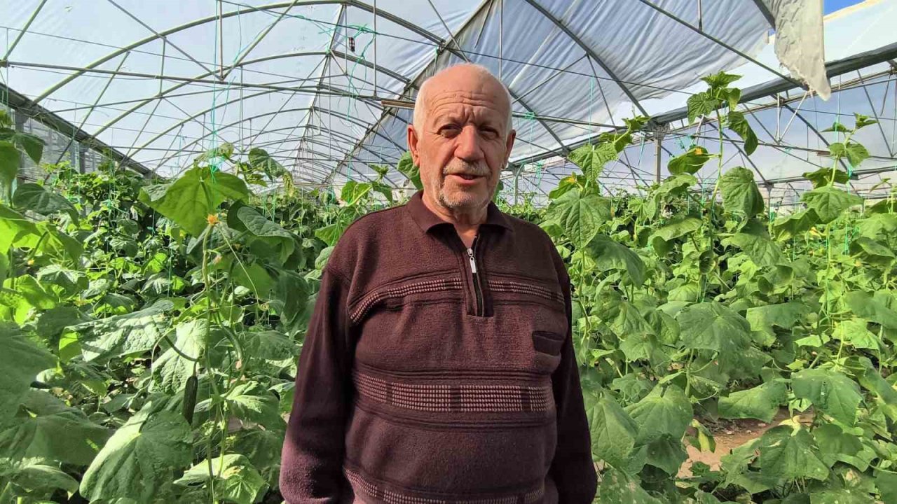 Doğu Anadolu’nun en büyük serası bölgenin sebze ihtiyacını karşılıyor