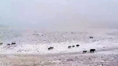Erzurum’a mevsimin ilk karı yağdı